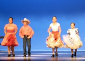 clogging.jpg