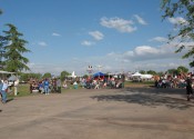 cincodemayoatthepark