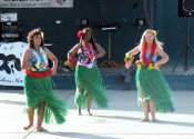hawaiian1