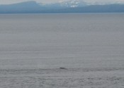 img_1493