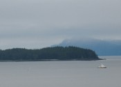 img_1503