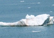 img_1831