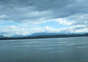 img_2133