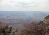 img_4341