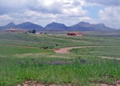 greensonoita2