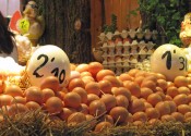 barcelonaboqueriaeggs