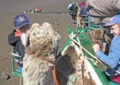 camelride6