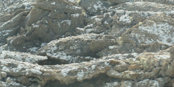 lichencoveredvolcanicrocks