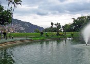 madeiragarden