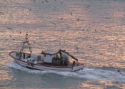 malagashrimpboat