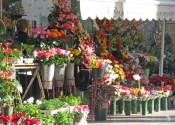 ramblasflowermarket