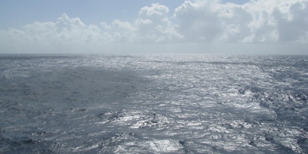 seaday23