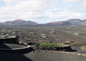 volcanicvinyard4