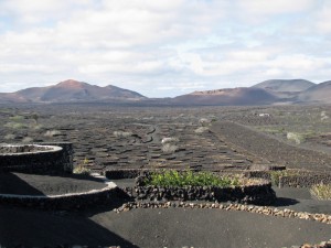 volcanicvinyard4