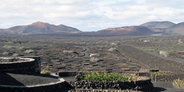 volcanicvinyard4