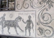 IMG_0337