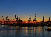 IMG_0771