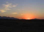 IMG_1169