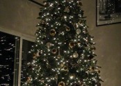 tree2