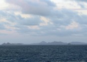 IMG_7982